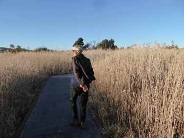 P1150955 Pamela Reeds copy