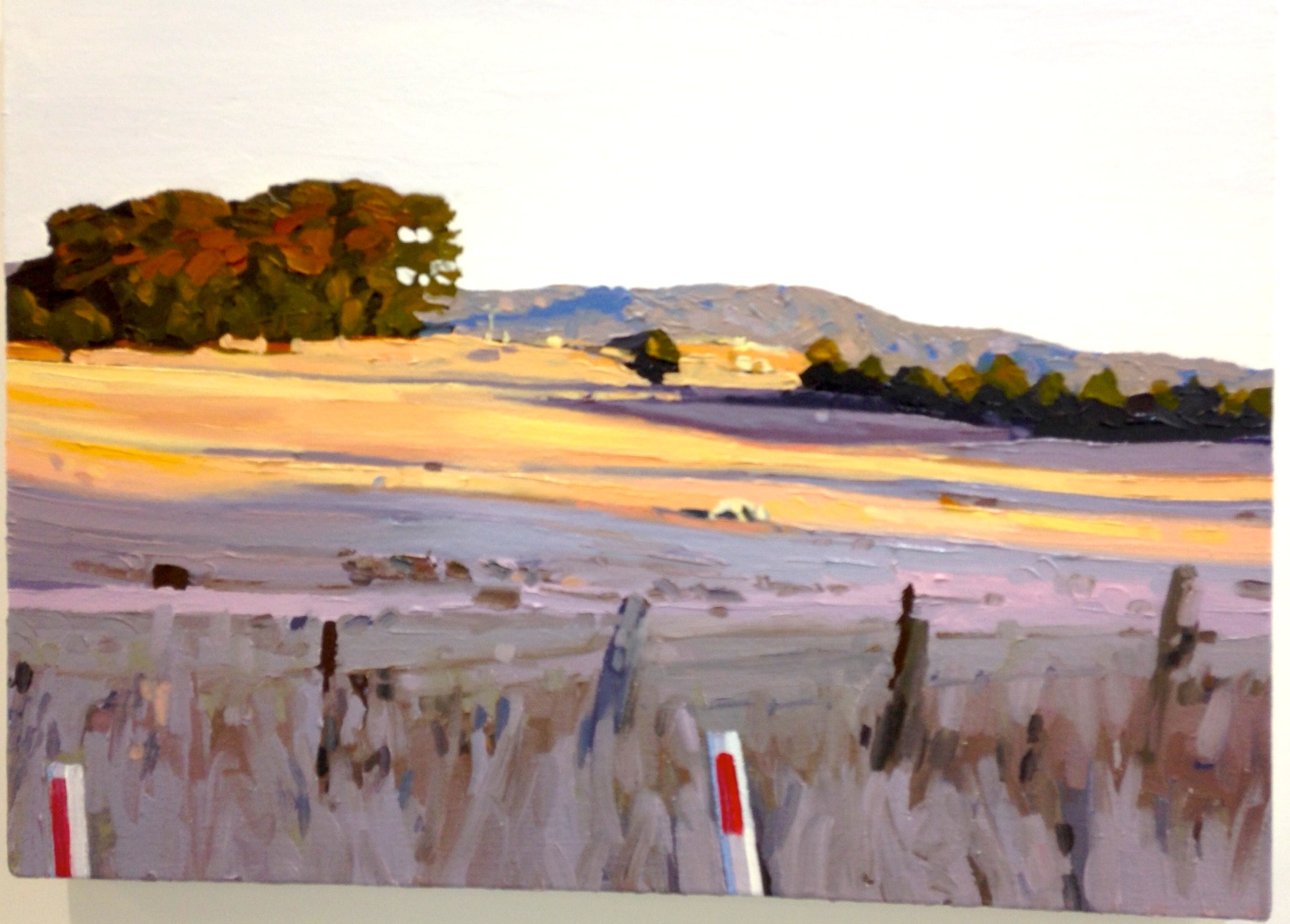 IMG_3410.JPG Landscape